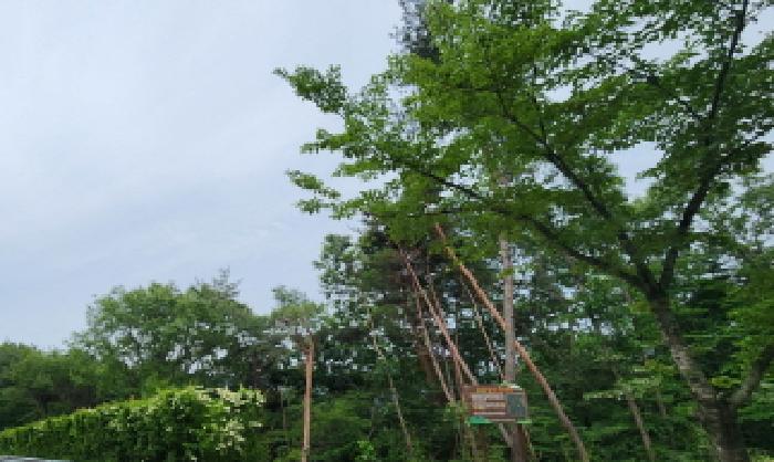 경남 양산시 상북면 임야 경매 물건 사진 2 · 2025타경11764