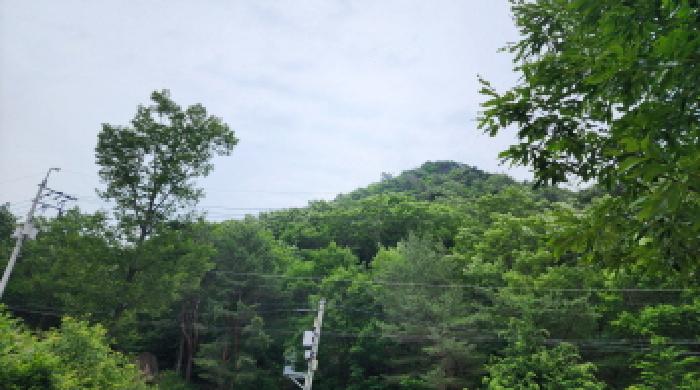 경남 양산시 원동면 전답 경매 물건 사진 4 · 2025타경11809