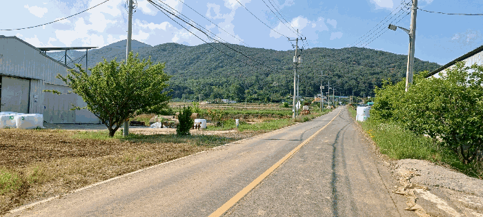 울산 울주군 상북면 답 경매 물건 사진 6 · 2025타경11824