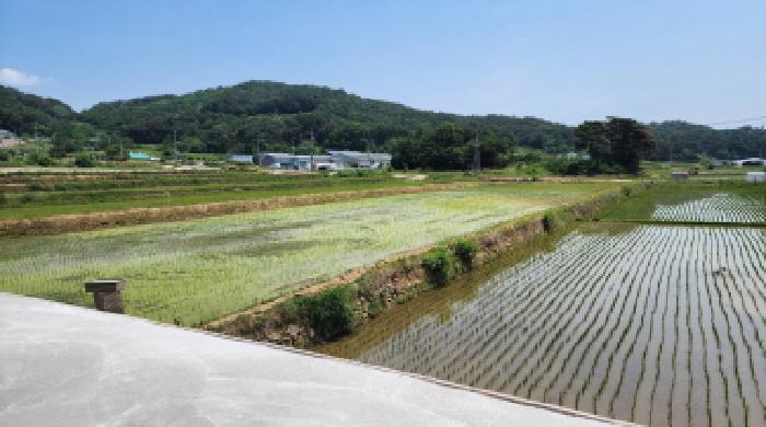 울산 울주군 상북면 답 경매 물건 사진