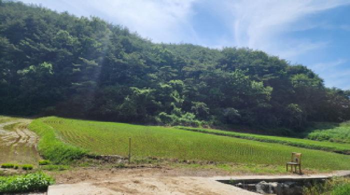 울산 울주군 범서읍 단독주택다가구 경매 물건 사진 3 · 2025타경11841