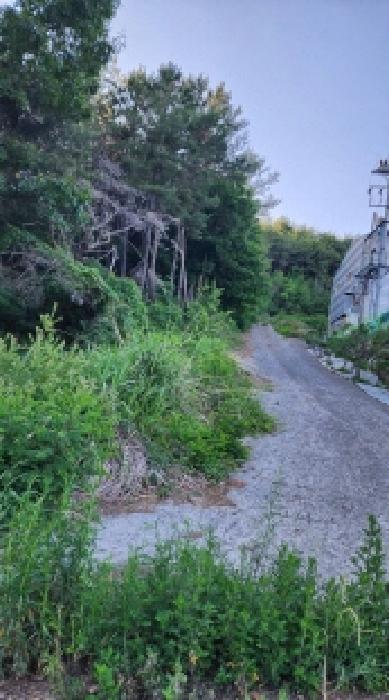 울산 울주군 삼동면 임야 경매 물건 사진 3 · 2025타경11870