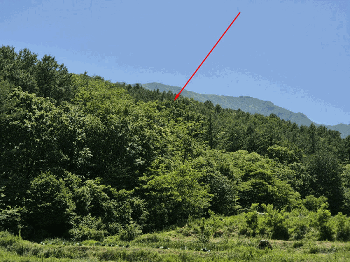 울산 울주군 상북면 임야 경매 물건 사진 2 · 2025타경11874