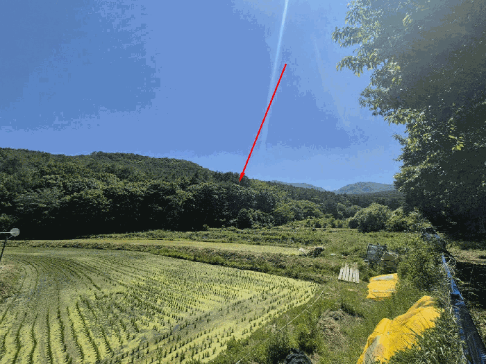 울산 울주군 상북면 임야 경매 물건 사진 3 · 2025타경11874