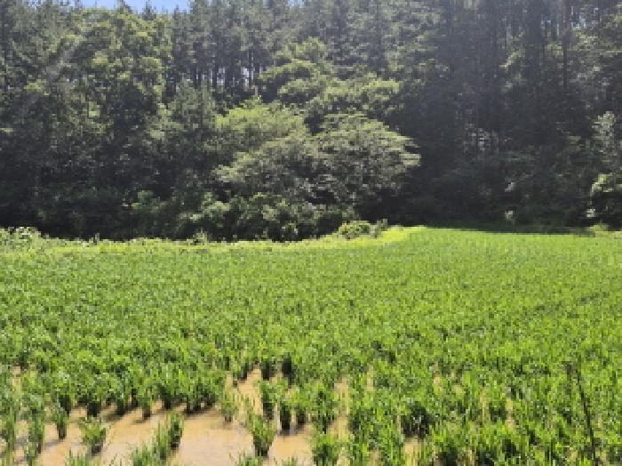 울산 울주군 온양읍 대지 경매 물건 사진 6 · 2025타경11930