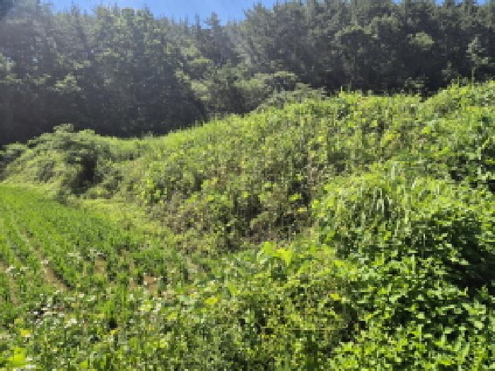 울산 울주군 온양읍 답 경매 물건 사진
