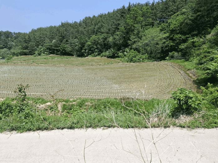 울산 울주군 온양읍 답 경매 물건 사진 5 · 2025타경11930