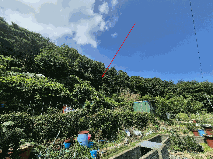 경남 양산시 물금읍 임야 경매 물건 사진 6 · 2025타경11951