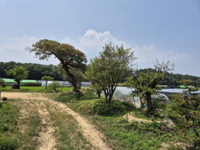 울산 북구 시례동 전답 경매 물건 사진