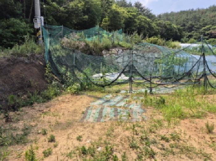 울산 북구 가대동 임야 경매 물건 사진 2 · 2025타경11993