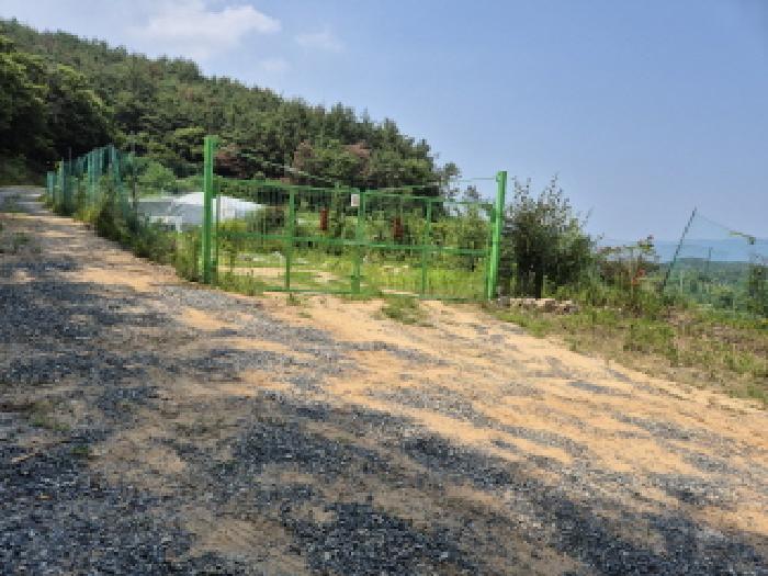 울산 북구 가대동 임야 경매 물건 사진 4 · 2025타경11993