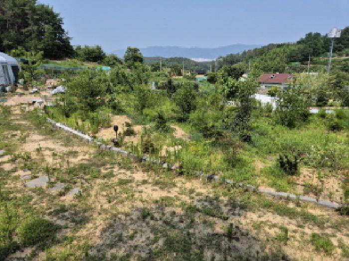 울산 북구 가대동 임야 경매 물건 사진 5 · 2025타경11993