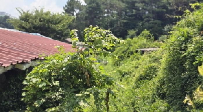 울산 울주군 삼남읍 대지,임야,전답 경매 물건 사진 2 · 2025타경1201