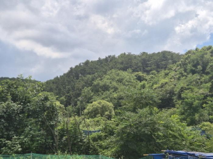 울산 북구 구유동 임야 경매 물건 사진 2 · 2025타경12038
