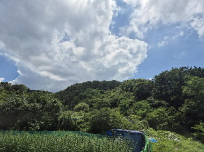 울산 북구 구유동 임야 경매 물건 사진