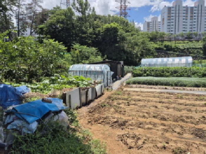 울산 중구 성안동 전 경매 물건 사진 4 · 2025타경12050