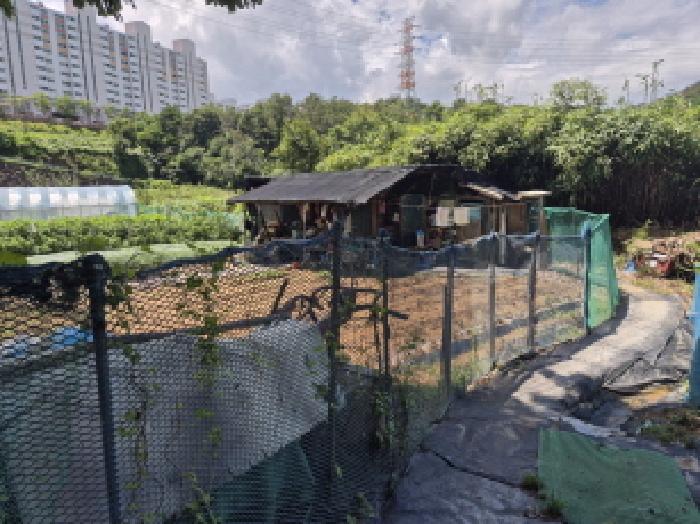 울산 중구 성안동 전 경매 물건 사진
