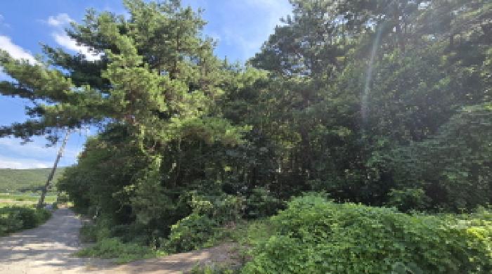 울산 울주군 웅촌면 임야 경매 물건 사진 2 · 2025타경12072