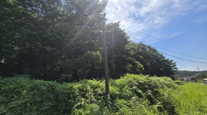 울산 울주군 웅촌면 임야 경매 물건 사진 3 · 2025타경12072