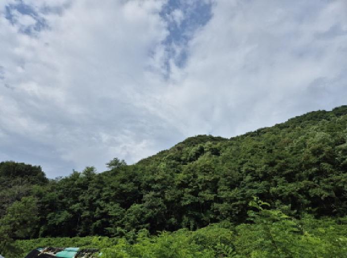 울산 북구 매곡동 임야 경매 물건 사진