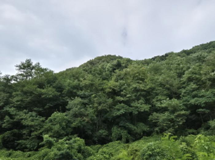 울산 북구 매곡동 임야 경매 물건 사진 2 · 2025타경12115