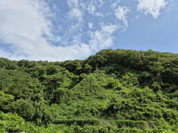 울산 북구 매곡동 임야 경매 물건 사진 3 · 2025타경12115