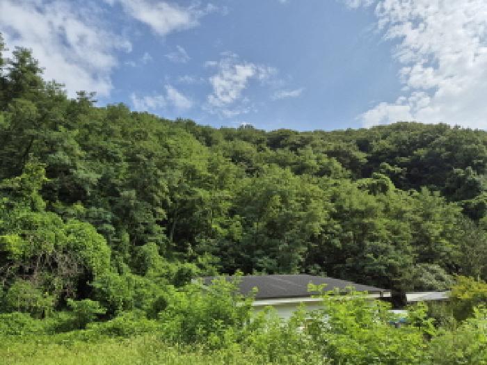 울산 북구 매곡동 임야 경매 물건 사진 4 · 2025타경12115