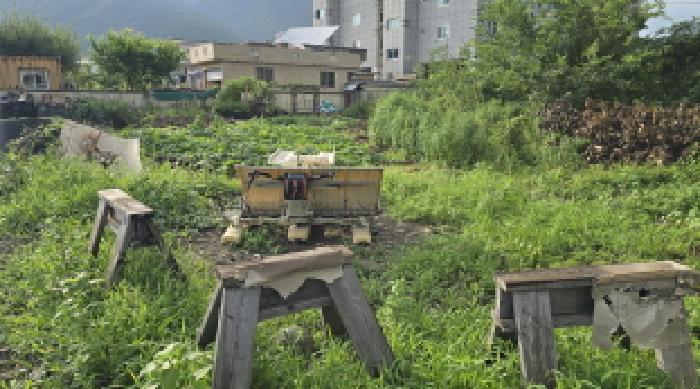 울산 울주군 삼남읍 대지 경매 물건 사진