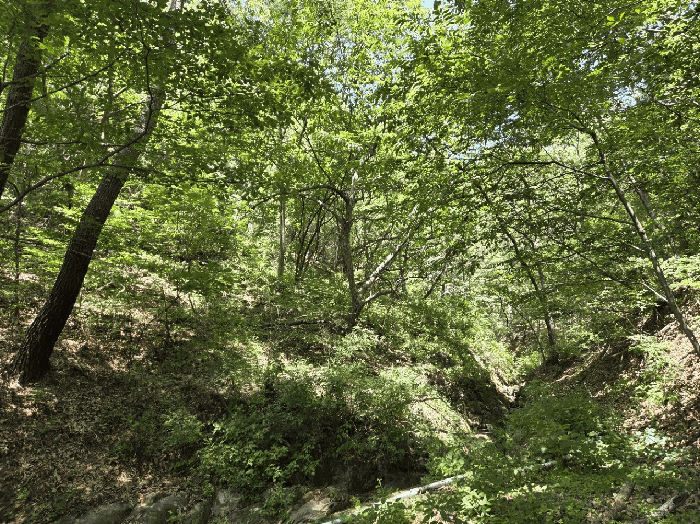울산 울주군 언양읍 임야 경매 물건 사진 2 · 2025타경12150