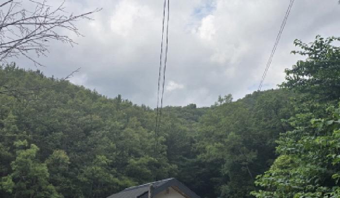 울산 울주군 언양읍 임야 경매 물건 사진