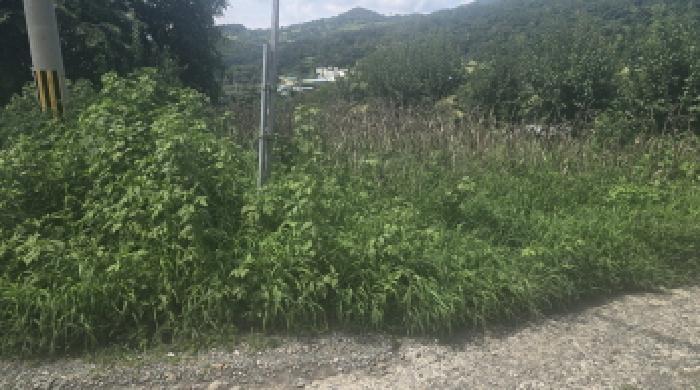 경남 양산시 상북면 전 경매 물건 사진 4 · 2025타경12154
