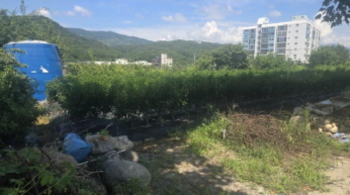 경남 양산시 상북면 전 경매 물건 사진 6 · 2025타경12154