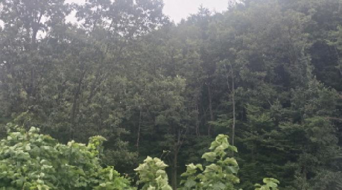 경남 양산시 주남동 임야 경매 물건 사진 2 · 2025타경12207