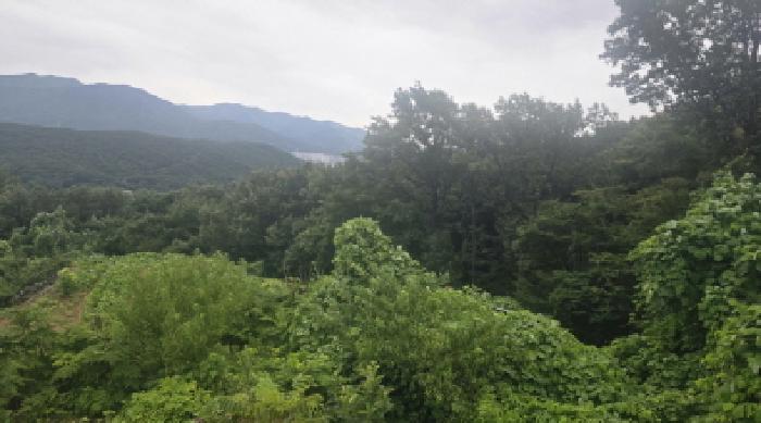 경남 양산시 주남동 임야 경매 물건 사진