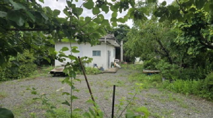 울산 울주군 두서면 단독주택 경매 물건 사진