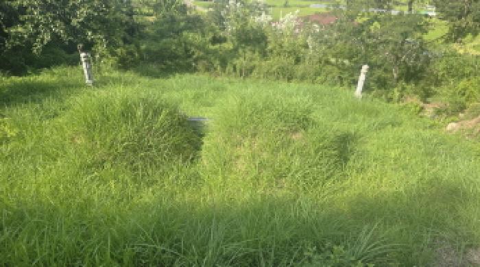 울산 울주군 상북면 전답 경매 물건 사진 2 · 2025타경12236