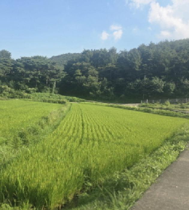 울산 울주군 상북면 전답 경매 물건 사진 3 · 2025타경12236