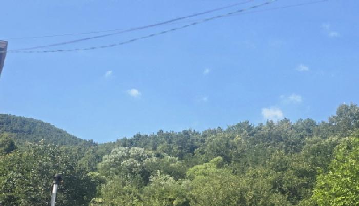 울산 울주군 상북면 전답 경매 물건 사진 4 · 2025타경12236