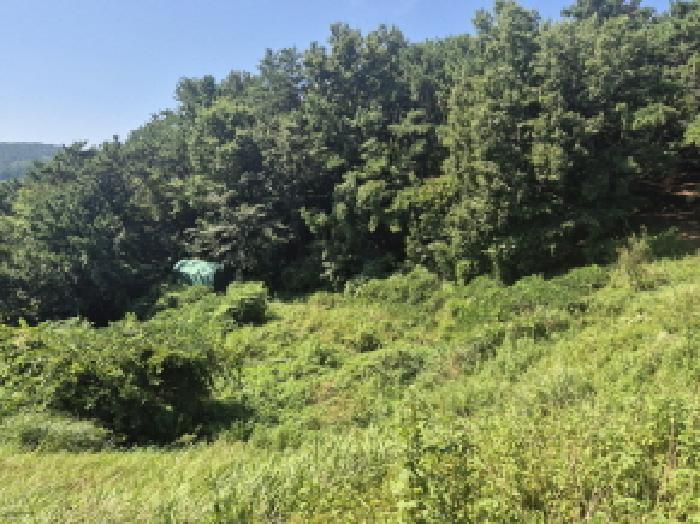 울산 북구 정자동 전답 경매 물건 사진 2 · 2025타경12247