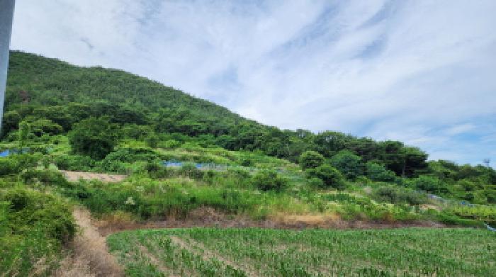 울산 울주군 두서면 전 경매 물건 사진 2 · 2025타경1226