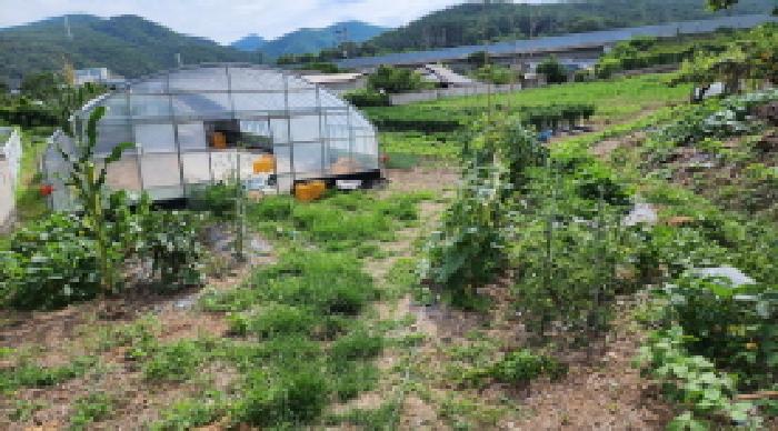 울산 울주군 두서면 전 경매 물건 사진 5 · 2025타경1226