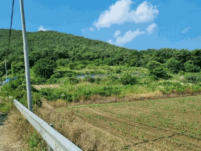 울산 울주군 두서면 전 경매 물건 사진 3 · 2025타경1226