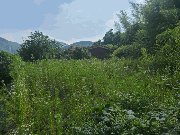 울산광역시 울주군 두서면 활천리 459 전 경매 물건 사진