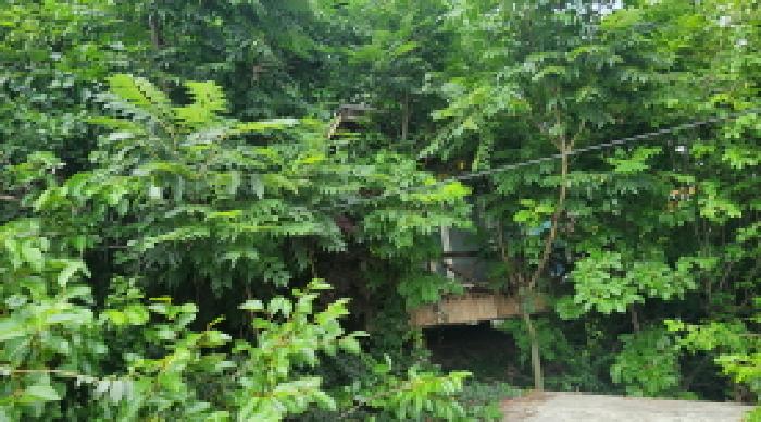 울산 울주군 두서면 전 경매 물건 사진 6 · 2025타경1227