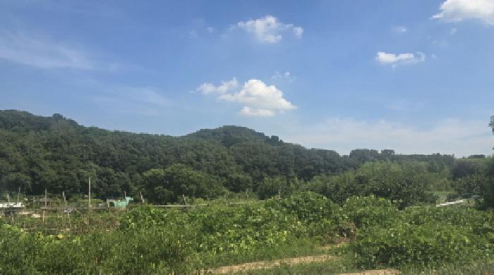 울산 울주군 범서읍 임야 경매 물건 사진 2 · 2025타경12272