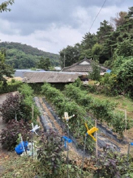 울산 중구 성안동 전 경매 물건 사진