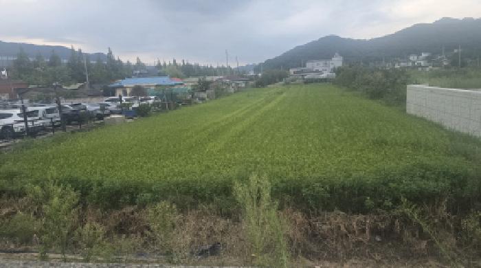 경남 양산시 물금읍 답 경매 물건 사진
