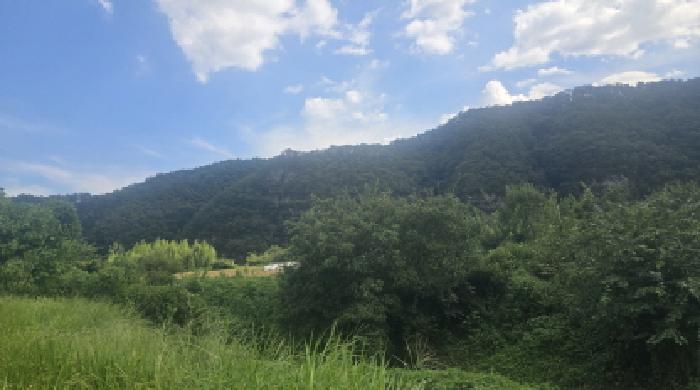 울산 울주군 언양읍 답 경매 물건 사진 3 · 2025타경12320