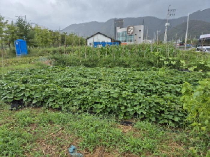 울산 북구 호계동 대지 경매 물건 사진 3 · 2025타경12384