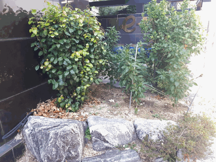 울산 남구 삼산동 수련시설 경매 물건 사진 6 · 2025타경12436